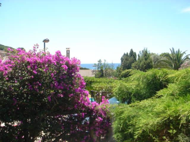 Villa Rosetta Chia Εξωτερικό φωτογραφία